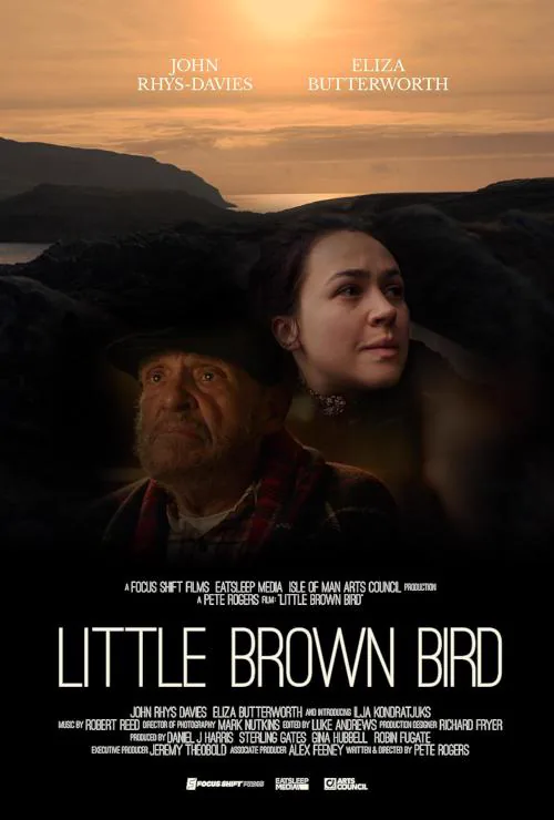 Little Brown Bird poster